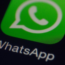 Das Whatsapp Symbol.