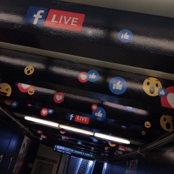 livestream