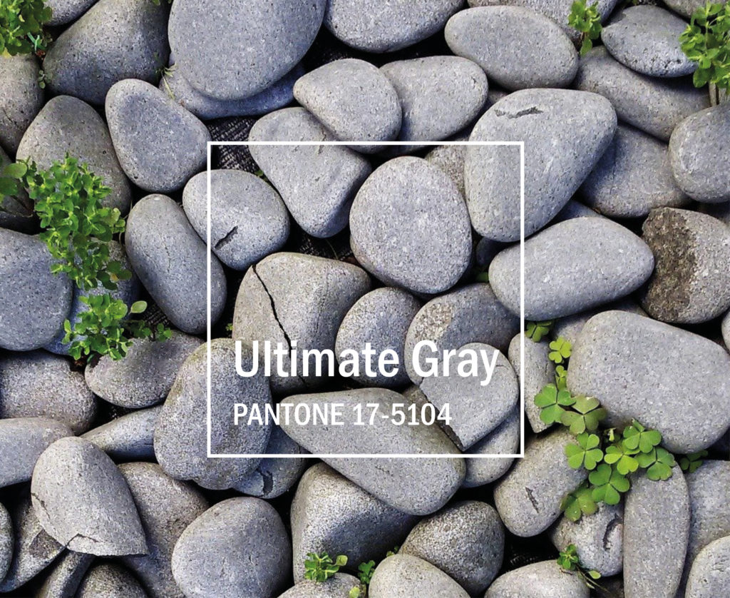 Pantone-Farbe-Ultimate Gray