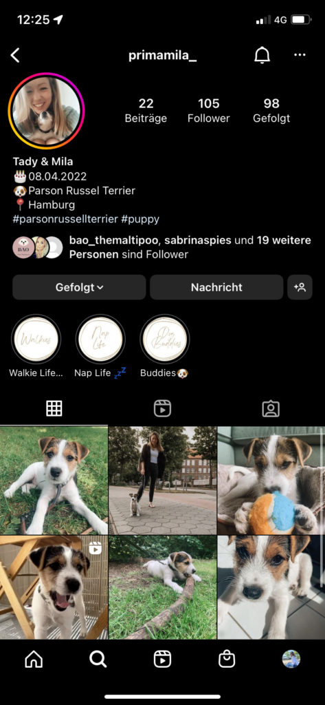 Instagram Profil von Welpe Mila und Tatjana